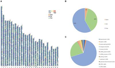 Analysis of genomic copy number variations through whole-genome scan in Yunling cattle